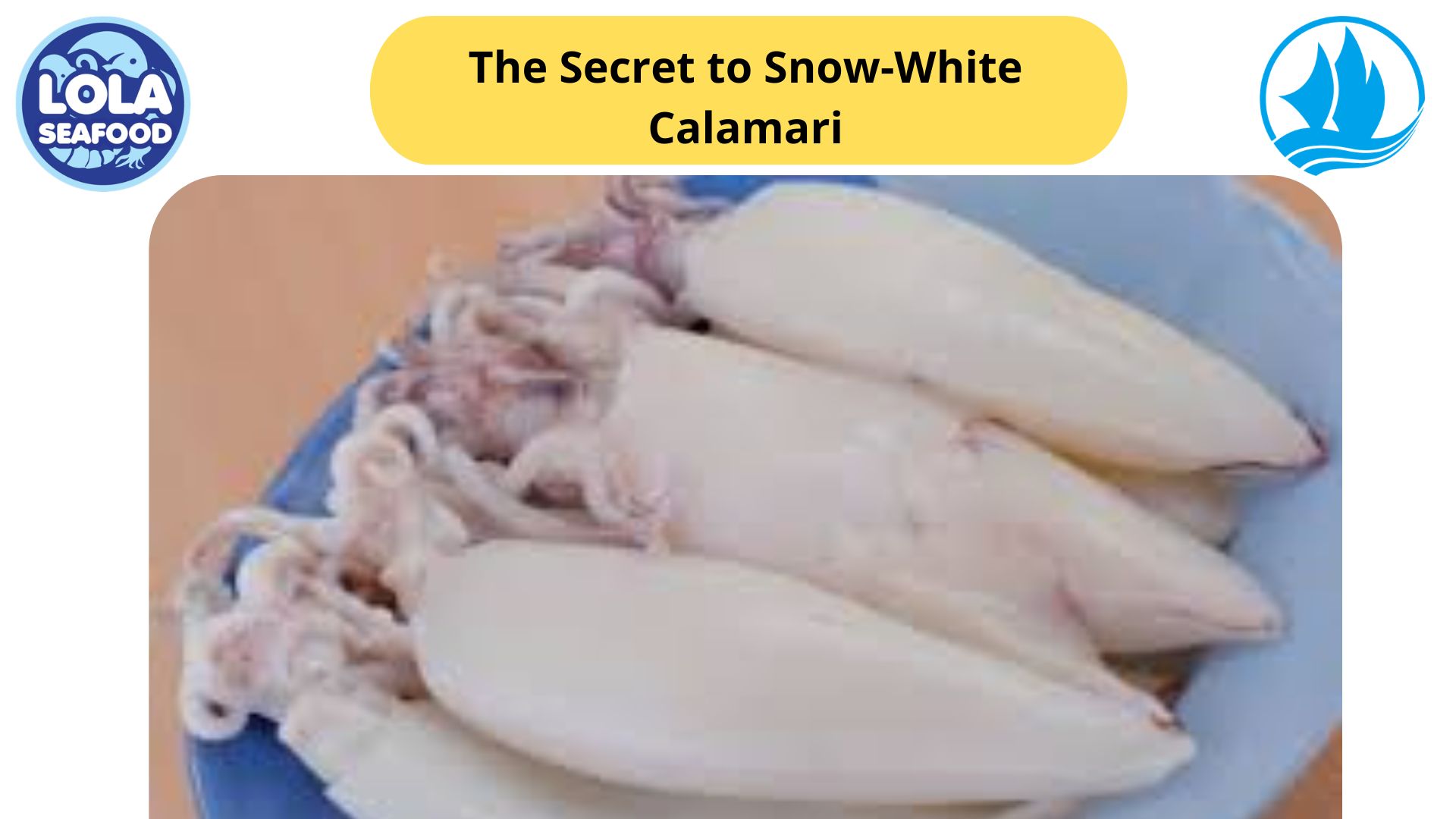The Secret to Snow-White Calamari